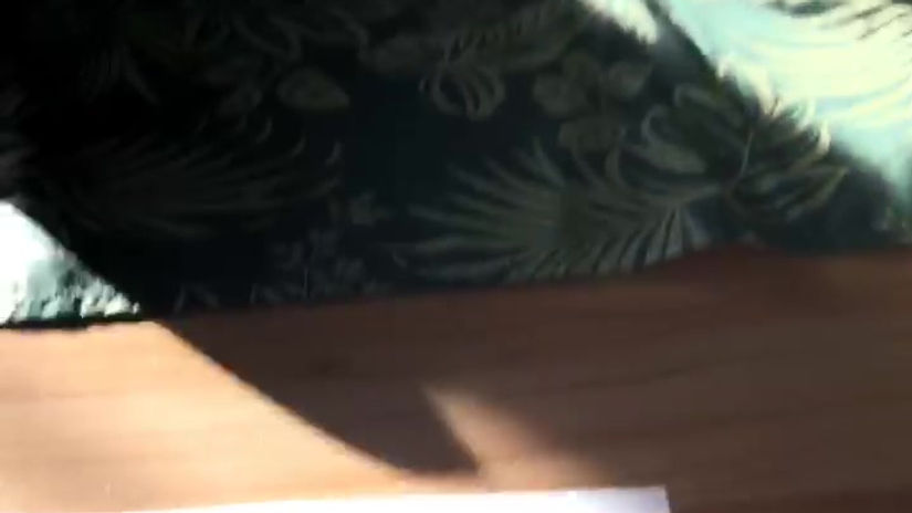 My Live Video